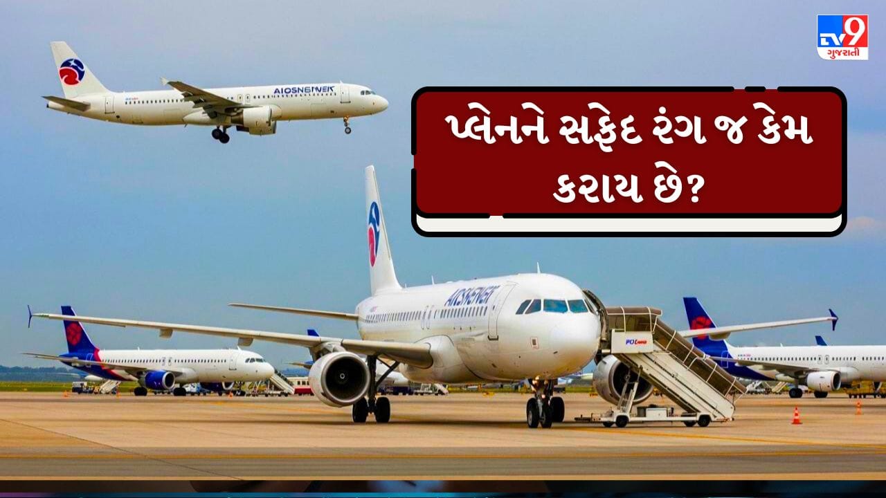 મોટાભાગના પેસેન્જર વિમાનો સફેદ રંગના રાખવામાં આવે છે કારણ કે સફેદ રંગ સૂર્યપ્રકાશને પરાવર્તિત કરે છે, જેથી વિમાન ઓછું ગરમ થાય છે અને અંદરની સિસ્ટમ્સ સુરક્ષિત રહે છે. સફેદ સપાટી પર તિરાડ, તેલના ડાઘ કે અન્ય ખામીઓ ઝડપથી દેખાઈ જાય છે, એટલે મેન્ટેનન્સ સરળ બને છે. આ ઉપરાંત સફેદ રંગ કરવો સસ્તો પડે છે અને એરલાઇન બદલાય ત્યારે નવી ડિઝાઇન કરવી પણ સહેલી રહે છે. તેથી વૈજ્ઞાનિક અને આર્થિક રીતે સફેદ રંગ સૌથી ઉપયોગી માનવામાં આવે છે. ( Credits: AI Generated )