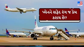 પ્લેનનો રંગ સફેદ કેમ હોય છે? આના પાછળનું વૈજ્ઞાનિક કારણ જાણો
