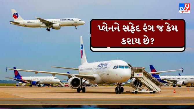 પ્લેનનો રંગ સફેદ કેમ હોય છે? આના પાછળનું વૈજ્ઞાનિક કારણ જાણો
