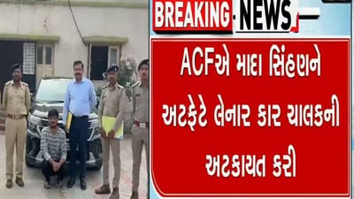 Breaking News : કારની ટક્કર મારી સિંહણને મોતને ઘાટ ઉતારનાર પોલીસ આવાસ નિગમનો સિવિલ એન્જિનિયર ઝડપાયો Breaking News : કારની ટક્કર મારી સિંહણને મોતને ઘાટ ઉતારનાર પોલીસ આવાસ નિગમનો સિવિલ એન્જિનિયર ઝડપાયો