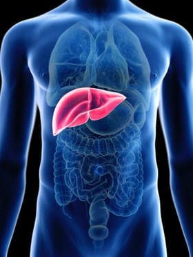 Health : સારા લીવર હેલ્થ માટે કયા ફળો ખાવા જોઈએ?