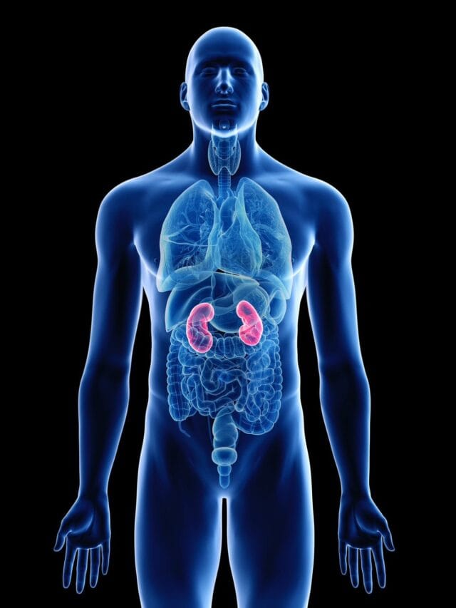 Health Tips : રોજની આ આદતો તમારી કિડનીને પહોંચાડી શકે છે નુકસાન