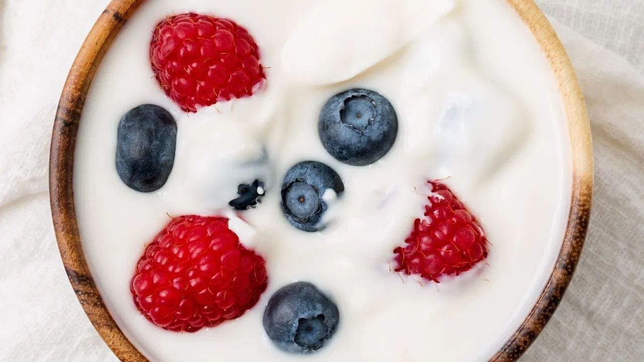 હંગ કર્ડ ફ્રૂટ બાઉલ: તમે બપોરના ભોજન માટે હંગ દહીં ફ્રૂટ બાઉલ બનાવી શકો છો. આ માટે દહીંને કપડામાં બાંધીને આખી રાત લટકાવી રાખો. સવારે તેને તમારા લંચ બોક્સમાં ઉમેરો. સફરજન, કેળા અને બેરી જેવા કેટલાક સમારેલા ફળો ઉમેરો. થોડું મધ ઉમેરો.
