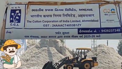 છોટાઉદેપુરના ખેડૂતોમાં ફફડાટ ! CCI 27 ફેબ્રુઆરીથી કપાસની ખરીદી બંધ કરશે, 'ટેકાના ભાવ' છીનવાઈ જવાની ભીતિ છોટાઉદેપુરના ખેડૂતોમાં ફફડાટ ! CCI 27 ફેબ્રુઆરીથી કપાસની ખરીદી બંધ કરશે, 'ટેકાના ભાવ' છીનવાઈ જવાની ભીતિ