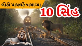 Breaking News : રેલવે ટ્રેક પર 10 સિંહ! એક સેકન્ડ મોડું પડ્યું હોત તો… જાણો શું થયું