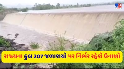 Breaking News : ઉનાળાના આરંભ પૂર્વે ગુજરાતમાં માત્ર 74 ટકા જળસંગ્રહ, યોગ્ય વિતરણ નહીં થાય તો પાણીનો પ્રશ્ન ઉદ્ભવવાની શક્યતા