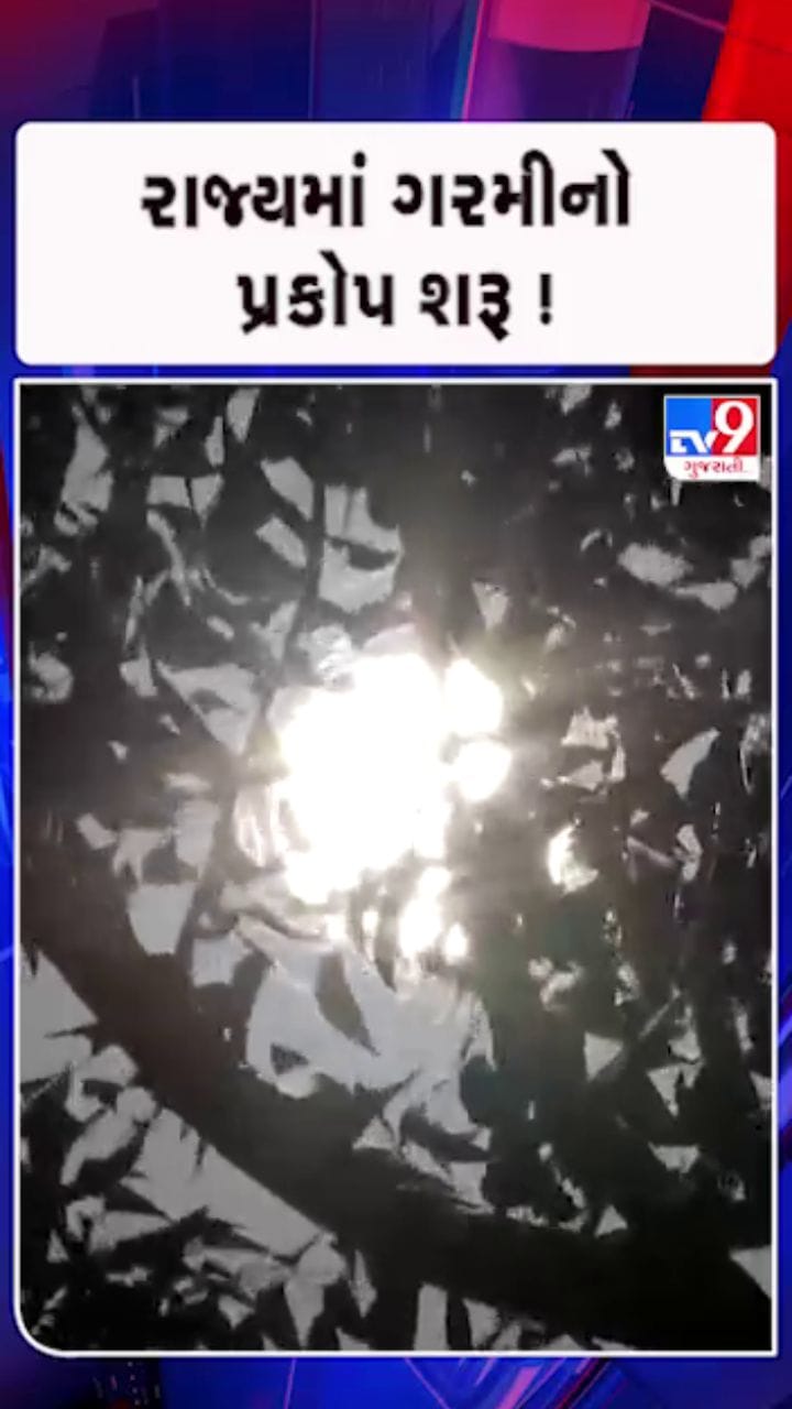 તાપમાનનો પારો 30 ડિગ્રીને પાર