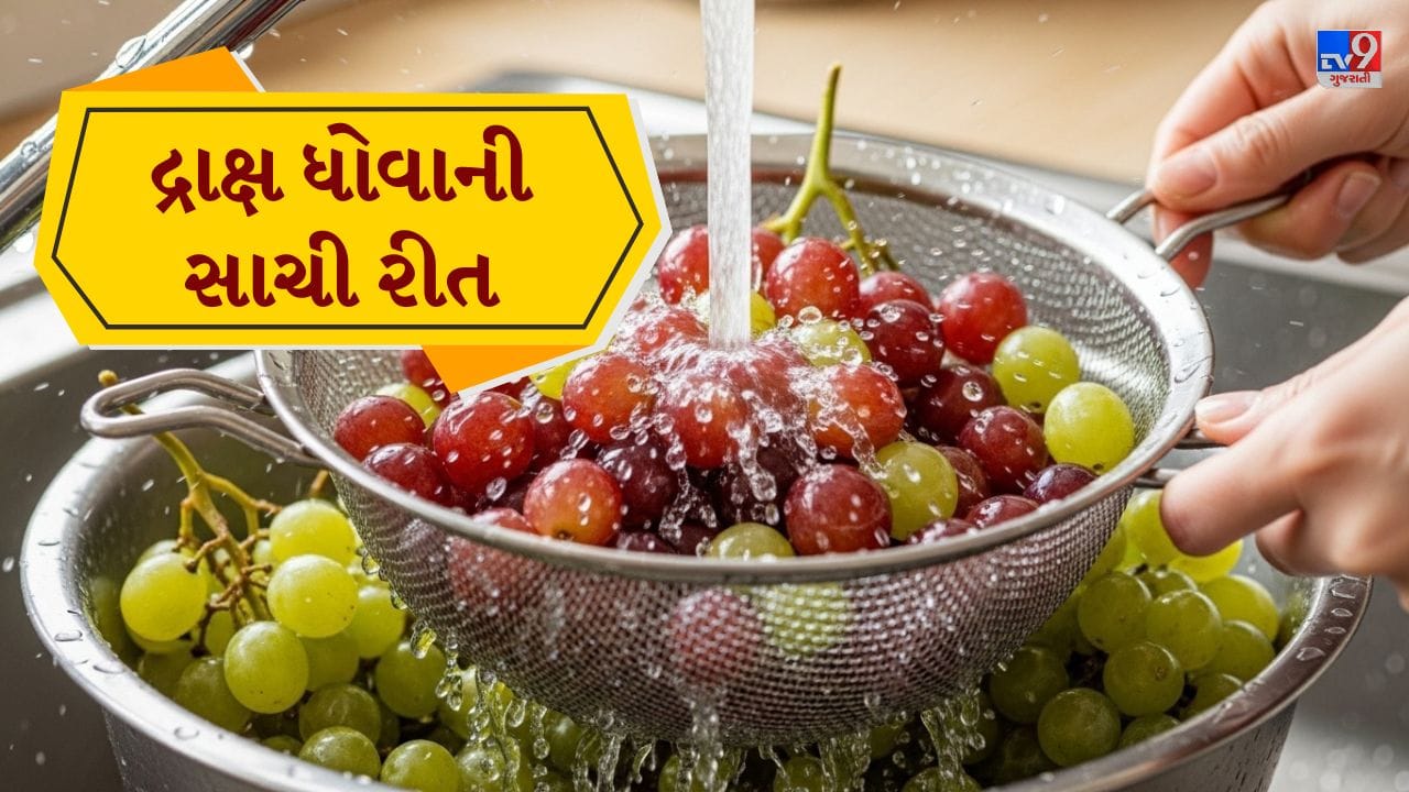 દ્રાક્ષ તાજી અને ચમકતી દેખાય છે એટલે તે સંપૂર્ણ સ્વચ્છ છે એવું માનવું સાચું નથી. ઘણી વાર તેની ઉપર જંતુનાશક દવા, મીણના આવરણ અને ધૂળના કણો લાગેલા હોય છે. દ્રાક્ષ ગુચ્છામાં ઉગે છે અને તેની છાલ નાજુક હોય છે, તેથી ગંદકી સહેલાઈથી ચોંટે છે. ફક્ત નળના પાણીથી હળવેથી ધોઈ લેવાથી બધું સાફ થતું નથી. તેથી ખાતા પહેલાં દ્રાક્ષને સારી રીતે ધોવી જરૂરી છે. ( Credits: AI Generated )