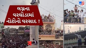 લગ્નના વરઘોડામાં નોટોનો વરસાદ !