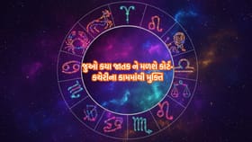 ઉદ્યોગપતિઓ માટે સુવર્ણ તક: વ્યવસાયિક ભાગીદારી અપાવશે મોટો નફો