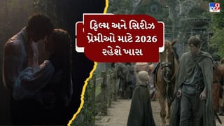 એક તરફ  પ્રેમકથા, બીજી તરફ ભવ્ય ફેન્ટસી… 2026માં શું જોવા મળશે?