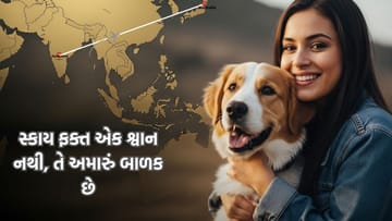 લાગણી હોય તો આવી..... એક ભારતીય દંપતીએ પોતાના પાલતુ શ્વાન માટે ₹15 લાખ ખર્ચ્યા. કહ્યુ- 'સ્કાય અમારું બાળક છે