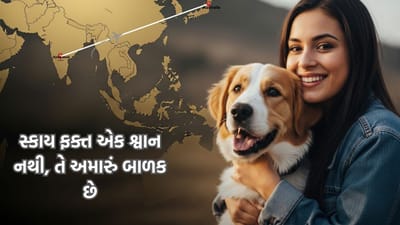 લાગણી હોય તો આવી..... એક ભારતીય દંપતીએ પોતાના પાલતુ શ્વાન માટે ₹15 લાખ ખર્ચ્યા. કહ્યુ- 'સ્કાય અમારું બાળક છે