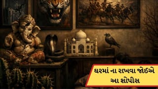 Vastu Alert: ઘરમાં આ તસવીરો અને શોપીસ રાખવું છે અશુભ, તમારા ઘરે તો નથી ને જાણી લેજો