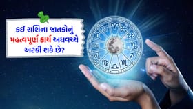 તમારું ઊર્જા સ્તર ઊંચું રહેશે, પ્રિયજન તમને એક ખાસ ભેટ આપશે
