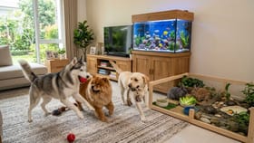 ઘરના ખૂણે-ખૂણે ભરાશે ધન ! વાસ્તુ મુજબ આ પ્રાણીઓ છે 'લકી ચાર્મ'