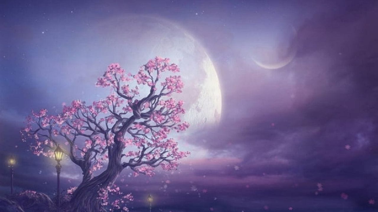 ‘પિંક મૂન’ નામ સાંભળતા એવું લાગે કે આ દિવસે ચાંદનો રંગ ગુલાબી દેખાશે, પરંતુ હકીકતમાં એવું નથી. પિંક મૂન માત્ર એપ્રિલ મહિનાની પૂર્ણિમાને આપેલું એક પરંપરાગત નામ છે. આ નામનું મૂળ ઉત્તર અમેરિકામાં જોવા મળતા ‘ગ્રાઉન્ડ ફ્લોક્સ’ નામના જંગલી ફૂલોમાં છે, જે વસંત ઋતુ દરમિયાન ગુલાબી રંગમાં ખીલે છે. એટલે આ પૂર્ણિમાને ‘પિંક મૂન’ કહેવામાં આવે છે. આ એક સાંસ્કૃતિક નામ છે, વૈજ્ઞાનિક રીતે ચાંદના રંગમાં કોઈ ખાસ ફેરફાર થતો નથી.