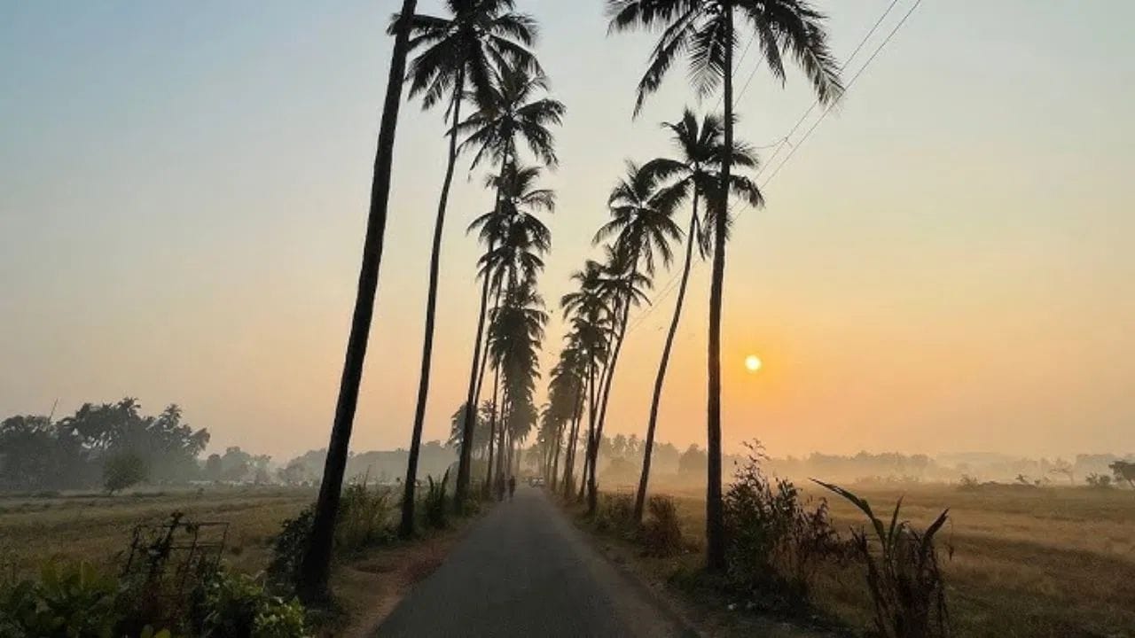 ગોવામાં એવી ઘણી જગ્યા છે જ્યાં હજુ પણ કુદરતનું સૌંદર્ય અછૂત રીતે જાળવાયેલું છે. અહીં તમને શાંત બીચ, ઘન જંગલ, ઝરણા અને નાના ગામડાં જોવા મળશે. આ સ્થળોએ ભીડ ઓછી હોય છે, જેથી તમે આરામદાયક અને યાદગાર ક્ષણો માણી શકો છો. અહીં તમને ગોવાની મૂળ સંસ્કૃતિ અને લોકલ જીવનશૈલીનો નજીકથી અનુભવ પણ મળે છે.