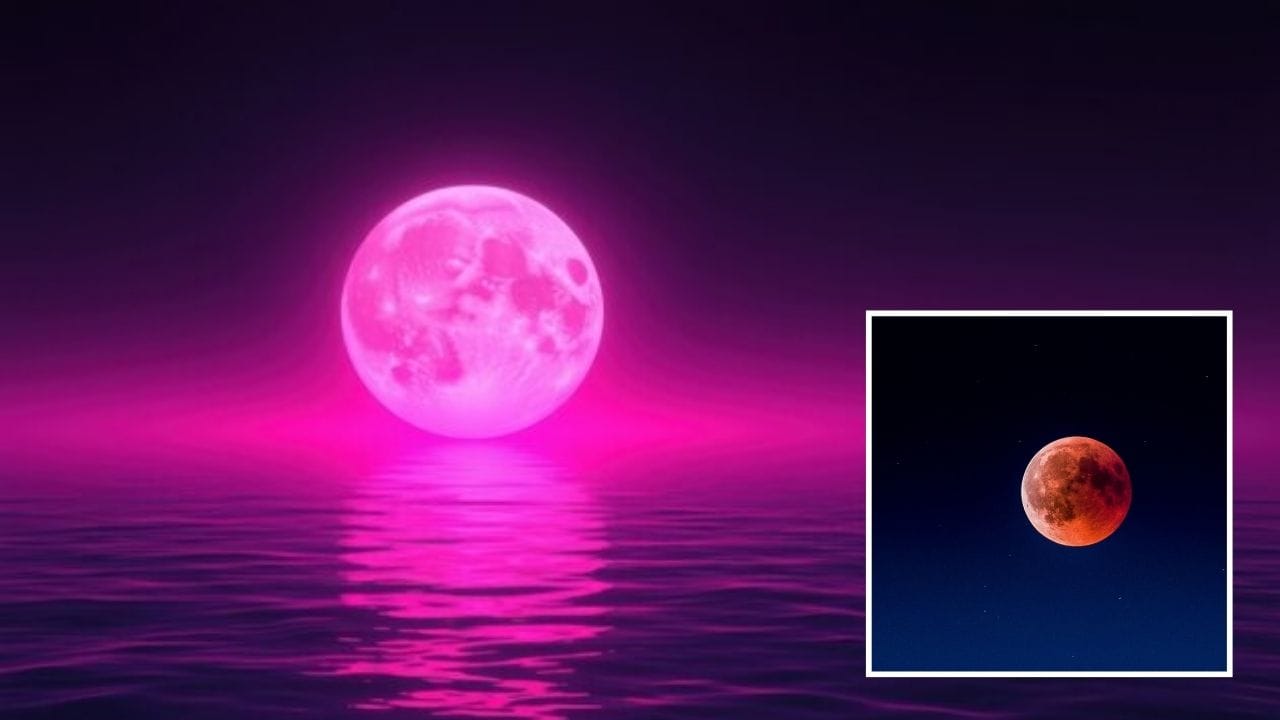 પિંક મૂનનું મહત્વ મુખ્યત્વે સાંસ્કૃતિક પરંપરાઓ સાથે જોડાયેલું છે, જે ઋતુ બદલાવ અને કુદરતી ઘટનાઓ પર આધારિત છે. બીજી તરફ, બ્લડ મૂન સંપૂર્ણપણે સૂર્ય, પૃથ્વી અને ચંદ્રના ચોક્કસ ગોઠવણી (alignment) પર આધારિત એક વૈજ્ઞાનિક ઘટના છે.