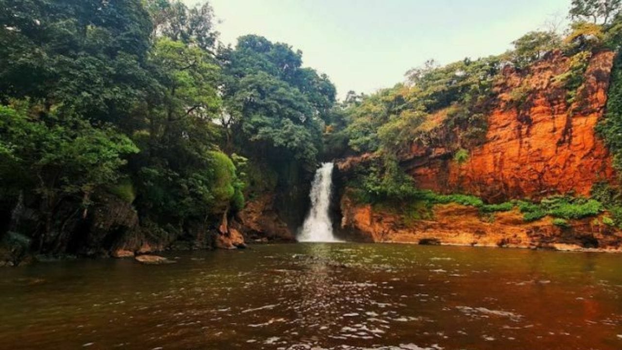 ઉત્તર ગોવામાં આવેલો અરવલેમ ઝરણું ખૂબ જ આકર્ષક છે. લગભગ 50 થી 70 મીટર ઊંચાઈથી પડતું પાણી એક અદભુત દૃશ્ય સર્જે છે. ખાસ કરીને ચોમાસામાં આ ઝરણું વધુ સુંદર લાગે છે. અહીંની શાંતિ અને હરિયાળી પ્રકૃતિપ્રેમીઓ માટે સ્વર્ગ સમાન છે.