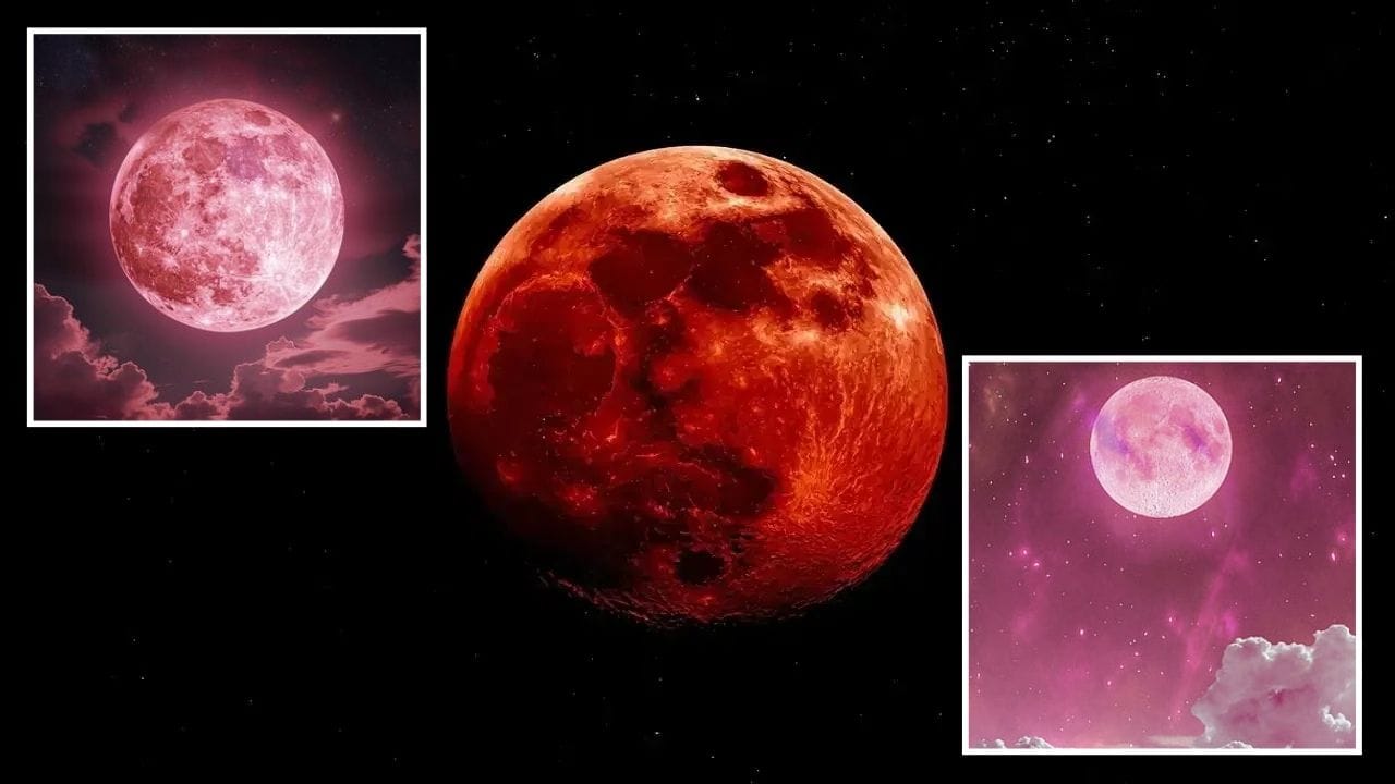‘પિંક મૂન’ અને ‘બ્લડ મૂન’ બંને ચાંદ સાથે જોડાયેલી ઘટનાઓ છે, પરંતુ તેમની પાછળનો અર્થ અને વિજ્ઞાન સંપૂર્ણપણે અલગ છે. 1 એપ્રિલે દેખાનાર પિંક મૂન એક સુંદર પૂર્ણિમા હશે, જ્યારે બ્લડ મૂન એક દુર્લભ અને વૈજ્ઞાનિક રીતે વિશેષ ઘટના છે. તેથી આકાશ નિહાળતા સમયે આ તફાવત જાણવો મહત્વપૂર્ણ છે, જેથી તમે આ અદ્ભુત દૃશ્યોનો સાચો આનંદ માણી શકો.(All Images Credit- Social Media)