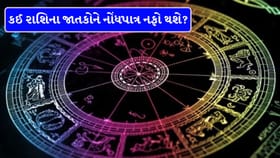 જીવનસાથી તમને ટેકો આપશે, સંબંધીઓ તમારી સહાય કરશે