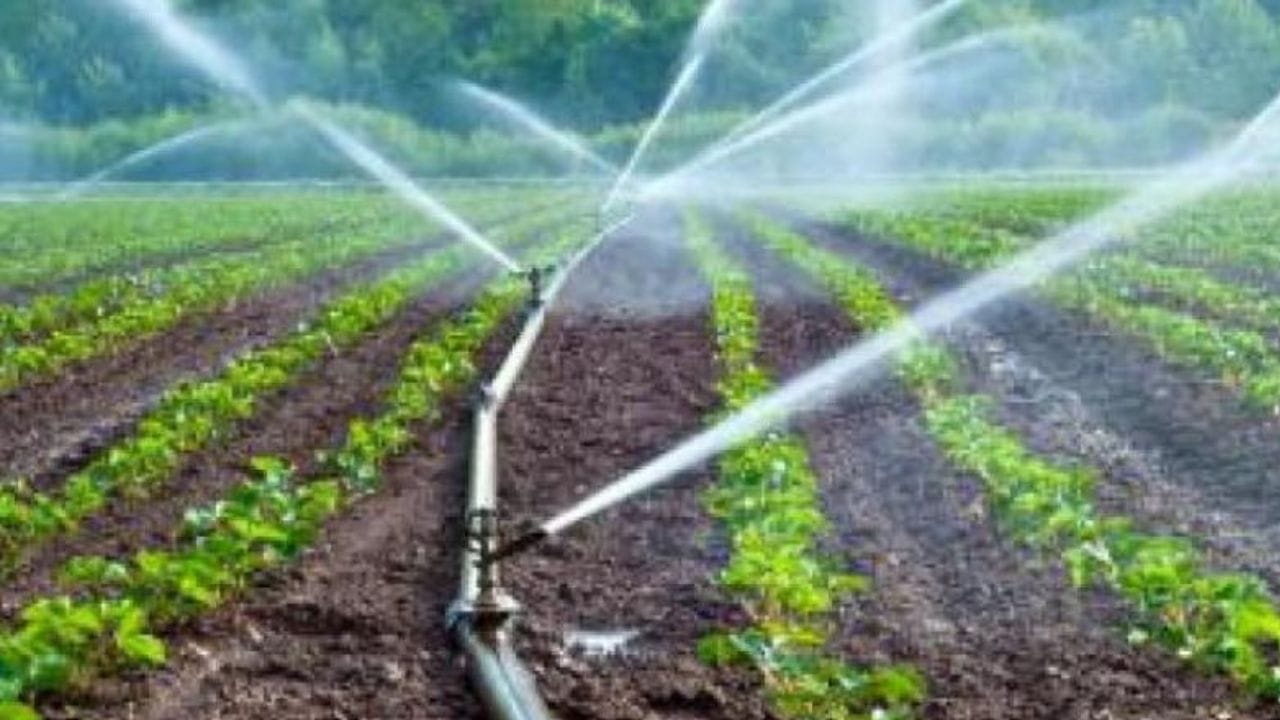 પાકિસ્તાન આ યાદીમાં પાંચમા ક્રમે છે. પાકિસ્તાન વાર્ષિક આશરે 183.4 બિલિયન ક્યુબિક મીટર પાણીનો ઉપયોગ કરે છે. સરેરાશ વાર્ષિક વ્યક્તિગત વપરાશ 753 ક્યુબિક મીટર છે. જે દર્શાવે છે કે દક્ષિણ એશિયાઈ દેશમાં કૃષિ હેતુઓ માટે પાણીનું દબાણ ખૂબ વધારે છે. (ફોટો ક્રેડિટ-Google)