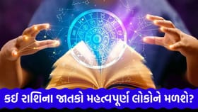 સંબંધીઓ તરફથી ટેકો મળશે, નાણાકીય લાભ થવાની સંભાવના છે