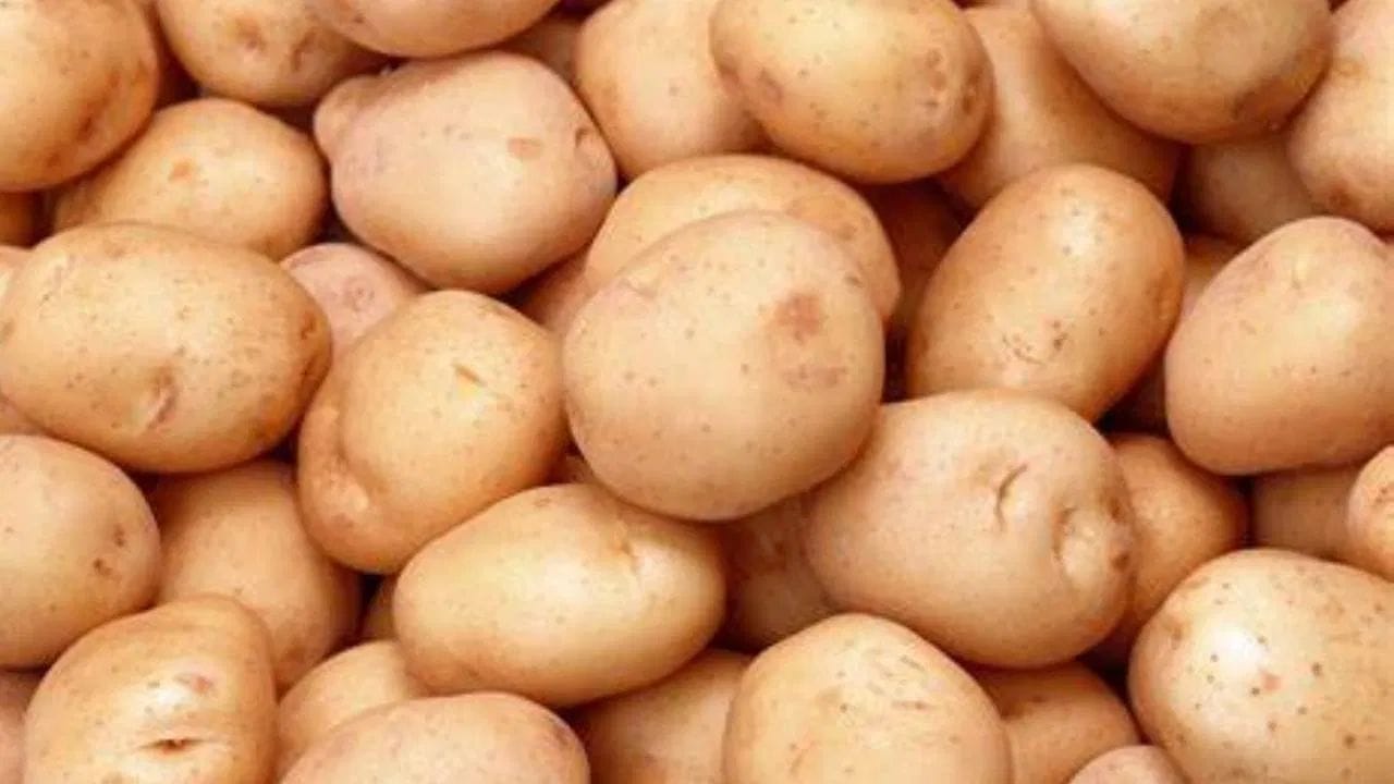 બટાકા ભારતીય ભોજનમાં ખૂબ જ લોકપ્રિય છે. પરંતુ તેની શરૂઆત ભારતમાં નહીં, દક્ષિણ અમેરિકાના પેરુમાંથી થઈ હતી. 17મી સદીમાં પોર્ટુગીઝ વેપારીઓ બટાકા ભારત લાવ્યા હતા. શરૂઆતમાં અહીં તેની ખેતી ખૂબ ઓછી હતી, પરંતુ પછી બ્રિટિશ શાસન દરમિયાન તેને પ્રોત્સાહન મળ્યું. આજના સમયમાં ભારત વિશ્વમાં બટાકાનું ઉત્પાદન કરતા અગ્રણી દેશોમાંનો એક છે.