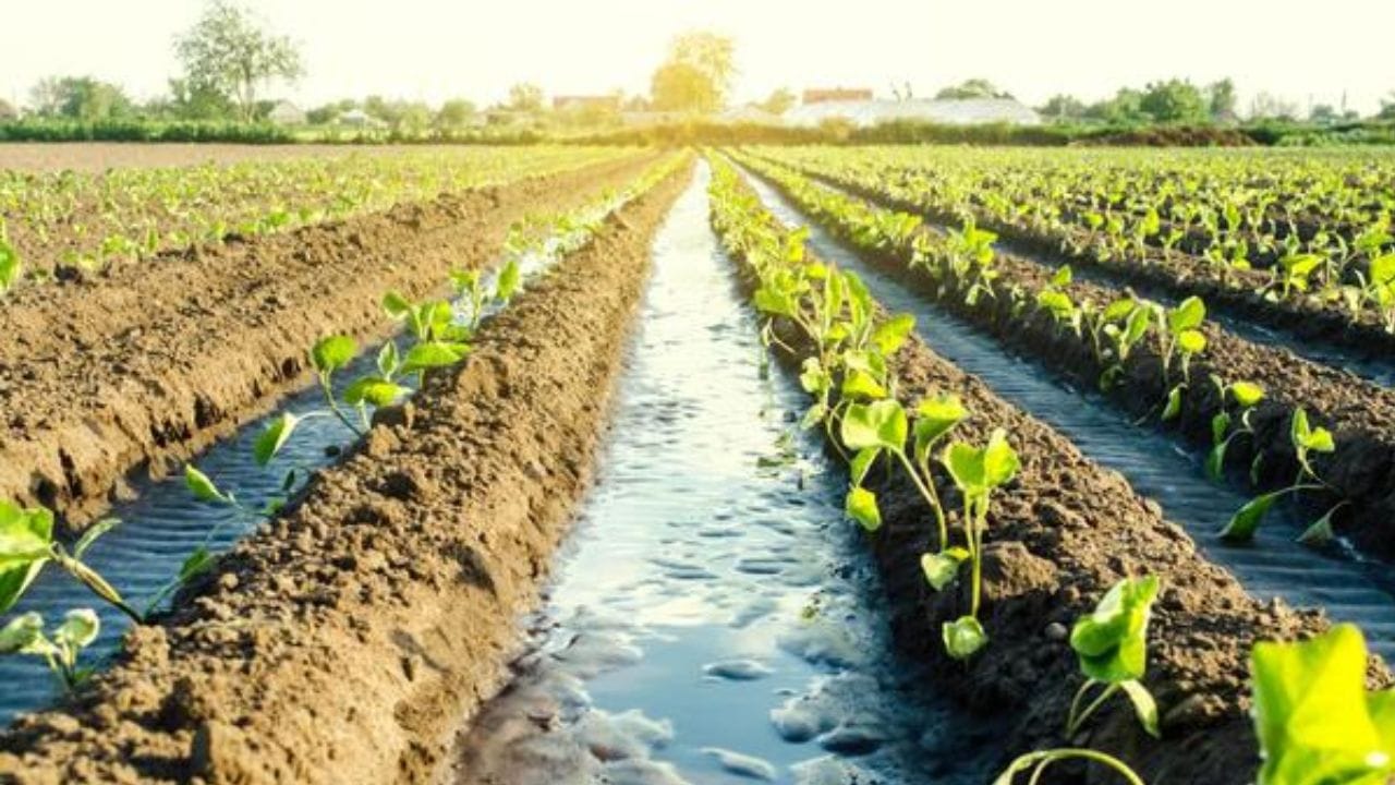 સમુદ્રથી ઘેરાયેલું હોવા છતાં ઇન્ડોનેશિયા મીઠા પાણીની શોધ માટે સંઘર્ષ કરે છે. તેને વાર્ષિક આશરે 223 બિલિયન ક્યુબિક મીટર મીઠા પાણીની જરૂર પડે છે. (ફોટો ક્રેડિટ-Google)