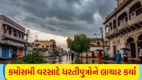 અમરેલીમાં કમોસમી વરસાદ ખેડૂતો ચિંતિત
