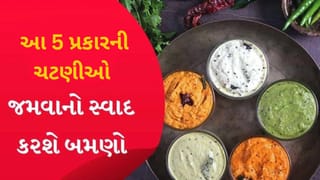 ગરમીમાં ખાવાનું બનશે વધુ ટેસ્ટી: રિફ્રેશિંગ ચટણીઓથી ઉમેરો ખાસ સ્વાદ