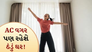 Cool Home Tips:  AC વગર પણ ઠંડું ઘર ! ઉનાળામાં ખર્ચ બચાવવાની 5 સ્માર્ટ રીત ફોલો કરો