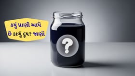 સફેદ નહીં પણ 'કાળું દૂધ'! જાણો આ રહસ્યમયી પ્રાણી વિશે