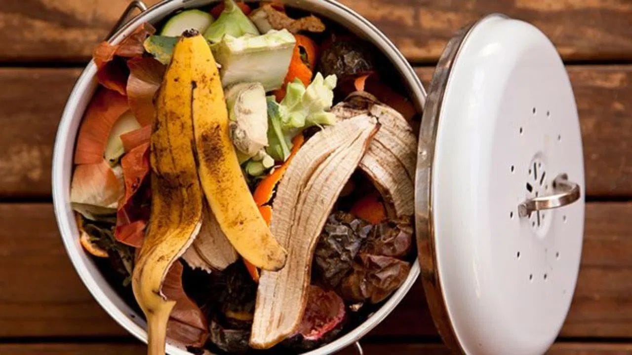 ફળ અને શાકભાજીની છાલને પણ ફેંકવા બદલે ખાતર તરીકે ઉપયોગ કરી શકાય છે. એક ડબ્બામાં માટીની લેયર નાખીને તેમાં આ છાલના ટુકડાઓ ઉમેરો અને ઉપરથી ફરી માટી નાખો. થોડા દિવસોમાં આ બધું સડીને ઉત્તમ ગુણવત્તાનું કુદરતી ખાતર બની જાય છે.