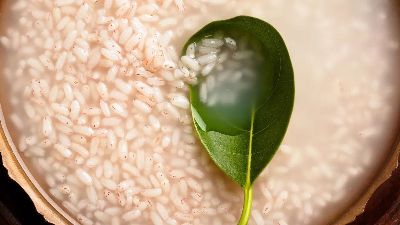 કિન્મેમાઈ પ્રીમિયમ ચોખાની કેટલીક ખાસિયતો તેને અન્ય ચોખા કરતાં અલગ બનાવે છે. સૌથી પ્રથમ, આ ચોખાને રાંધતા પહેલા ધોવાની જરૂર નથી, કારણ કે ખાસ પ્રક્રિયા દ્વારા તેનું સ્ટાર્ચ પહેલાથી દૂર કરવામાં આવ્યું હોય છે. બીજી ખાસિયત એ છે કે ચોખા બનાવવા માટે બફિંગ ટેકનિકનો ઉપયોગ થાય છે, જે ચોખાના દાણા પરના બાહ્ય મીણ જેવા સ્તરને દૂર કરે છે અને તેને પચવામાં સરળ બનાવે છે.