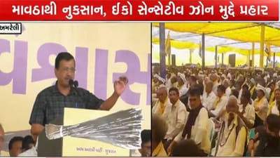Breaking News : અરવિંદ કેજરીવાલે અમરેલીમાં સંબોધી જાહેરસભા, સરકાર બનશે તો મહિલાઓને દર મહિને રૂ. એક-એક હજાર આપવા આપ્યું વચન