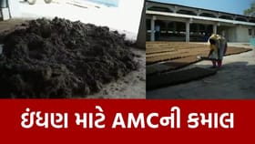 AMC એ ગાયના ગોબરમાંથી કરી આવી કમાલ, જુઓ Video