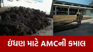 AMC એ શોધ્યો ઇંધણનો ઉકેલ ! ગાયના ગોબરમાંથી કરી આવી કમાલ, જુઓ Video