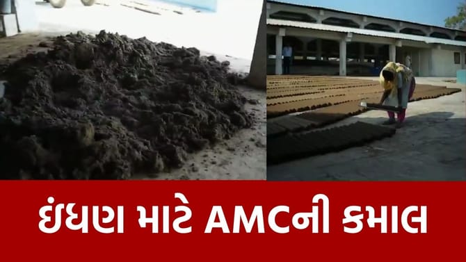 AMC એ ગાયના ગોબરમાંથી કરી આવી કમાલ, જુઓ Video