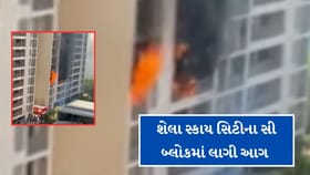 સિક્યોરીટીની સમયસુચકતાથી મોટી જાનહાનિ ટળી