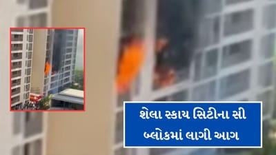 Breaking News : શેલા સ્કાય સિટીના સી બ્લોકમાં લાગી આગ, સિક્યોરીટીની સમયસુચકતાથી મોટી જાનહાનિ ટળી Breaking News : શેલા સ્કાય સિટીના સી બ્લોકમાં લાગી આગ, સિક્યોરીટીની સમયસુચકતાથી મોટી જાનહાનિ ટળી