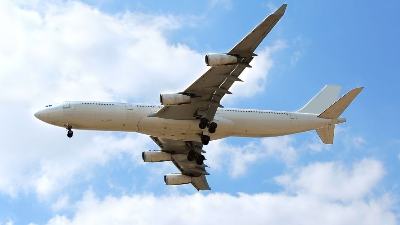 પાંખનો ભાગ અત્યંત મહત્વપૂર્ણ અને સંવેદનશીલ છે. પક્ષી અથડામણ જેવી ઘટના સામાન્ય રીતે એન્જિન અથવા પાંખના આગળના ભાગ સાથે જોડાયેલી હોય છે. જોકે આધુનિક વિમાનોને આવા જોખમોને ધ્યાનમાં રાખીને ડિઝાઇન કરવામાં આવ્યા છે અને તેમાં સુરક્ષાના કડક ધોરણો અપનાવવામાં આવ્યા છે.