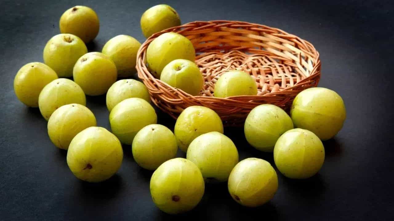 વેસ્ટમાંથી બેસ્ટ ! પતંજલિ આમળાના બીજમાંથી રચ્યો ઇતિહાસ, આયુર્વેદની તાકાતને આખી દુનિયાએ માની