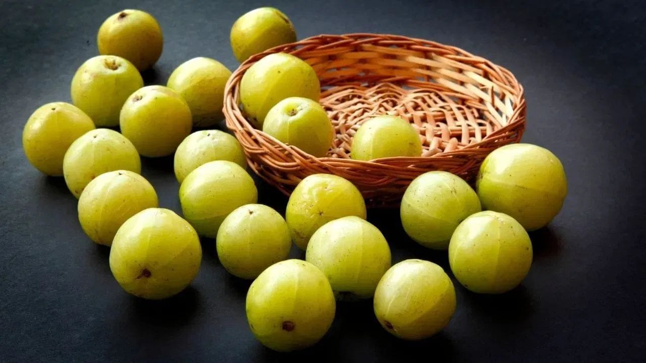 વેસ્ટમાંથી બેસ્ટ ! પતંજલિ આમળાના બીજમાંથી રચ્યો ઇતિહાસ, આયુર્વેદની તાકાતને આખી દુનિયાએ માની