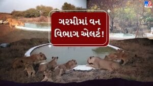 Breaking News : અમરેલીમાં ગરમી વચ્ચે સિંહ સહિત વન્યપ્રાણીઓ માટે 8 રેન્જમાં કરાઈ ખાસ સગવડ