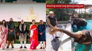 ગુજરાતની શાન.. જામનગરનું વનતારા, ઉદ્ઘાટન બાદ સેવા કાર્યનું એક વર્ષ થયું પૂર્ણ, જુઓ Photos