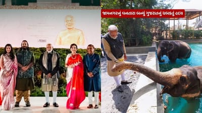 Anant Ambani દ્વારા સ્થાપિત આ સંસ્થાએ વાઘ, હાથી, સરિસૃપ, વાંદરા, પક્ષીઓ અને અન્ય સસ્તન પ્રાણીઓ સહિત હજારો બચાવાયેલા જંગલી પ્રાણીઓનું સફળ પુનર્વસન કર્યું છે. છેલ્લા એક વર્ષ દરમિયાન, નિષ્ણાત પશુચિકિત્સા ટીમે અનેક જટિલ શસ્ત્રક્રિયાઓ સફળતાપૂર્વક પૂર્ણ કરી છે. સારવાર અને પુનર્વસન બાદ, ઘણા પ્રાણીઓને તેમના કુદરતી નિવાસસ્થાનમાં મુક્ત કરવામાં આવ્યા છે.