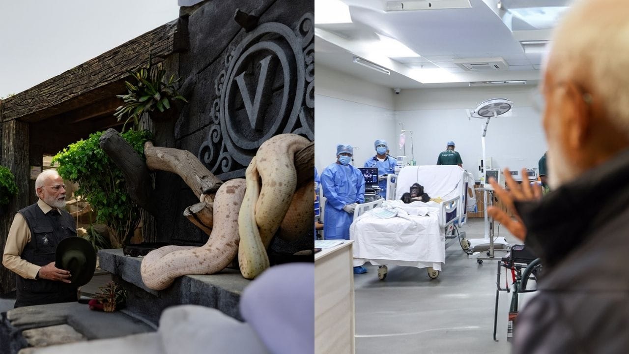 પ્રથમ વર્ષ દરમિયાન, અનંત અંબાણીને વન્યજીવન સંભાળ અને સંરક્ષણ ક્ષેત્રે તેમના વૈશ્વિક યોગદાન બદલ પ્રતિષ્ઠિત ગ્લોબલ હ્યુમન એવોર્ડથી સન્માનિત કરવામાં આવ્યા. આ સન્માન તેમના કરુણાપૂર્ણ અને વિજ્ઞાન આધારિત અભિગમનું પ્રતિબિંબ છે. સંસ્થાને આંતરરાષ્ટ્રીય સ્તરે પણ માન્યતા મળી છે, જેમાં EARAZA અને SEAZA જેવી સંસ્થાઓમાં સભ્યપદ, ગ્લોબલ હ્યુમન કન્ઝર્વેશન સર્ટિફિકેશન તથા “ફ્રેન્ડ ઓફ એનિમલ્સ એવોર્ડ 2025” નો સમાવેશ થાય છે.Vantara એ 250 થી વધુ હાથીઓને લાંબા ગાળાની વિશેષ સંભાળ પૂરી પાડી છે. આ હાથીઓને લાકડા કાપવા, સર્કસ, સફારી અને ભીખ માંગવા જેવી શોષણકારી પરિસ્થિતિઓમાંથી બચાવવામાં આવ્યા હતા. ઘણા હાથીઓ સંધિવા અને વયસંબંધિત બીમારીઓથી પીડાતા હતા, જેમને હવે યોગ્ય સારવાર અને સંભાળ મળી રહી છે. ઉપરાંત, ભીડભાડવાળી પરિસ્થિતિઓમાંથી બચાવાયેલા હજારો મગરોની પણ સંસ્થા સંભાળ રાખે છે.