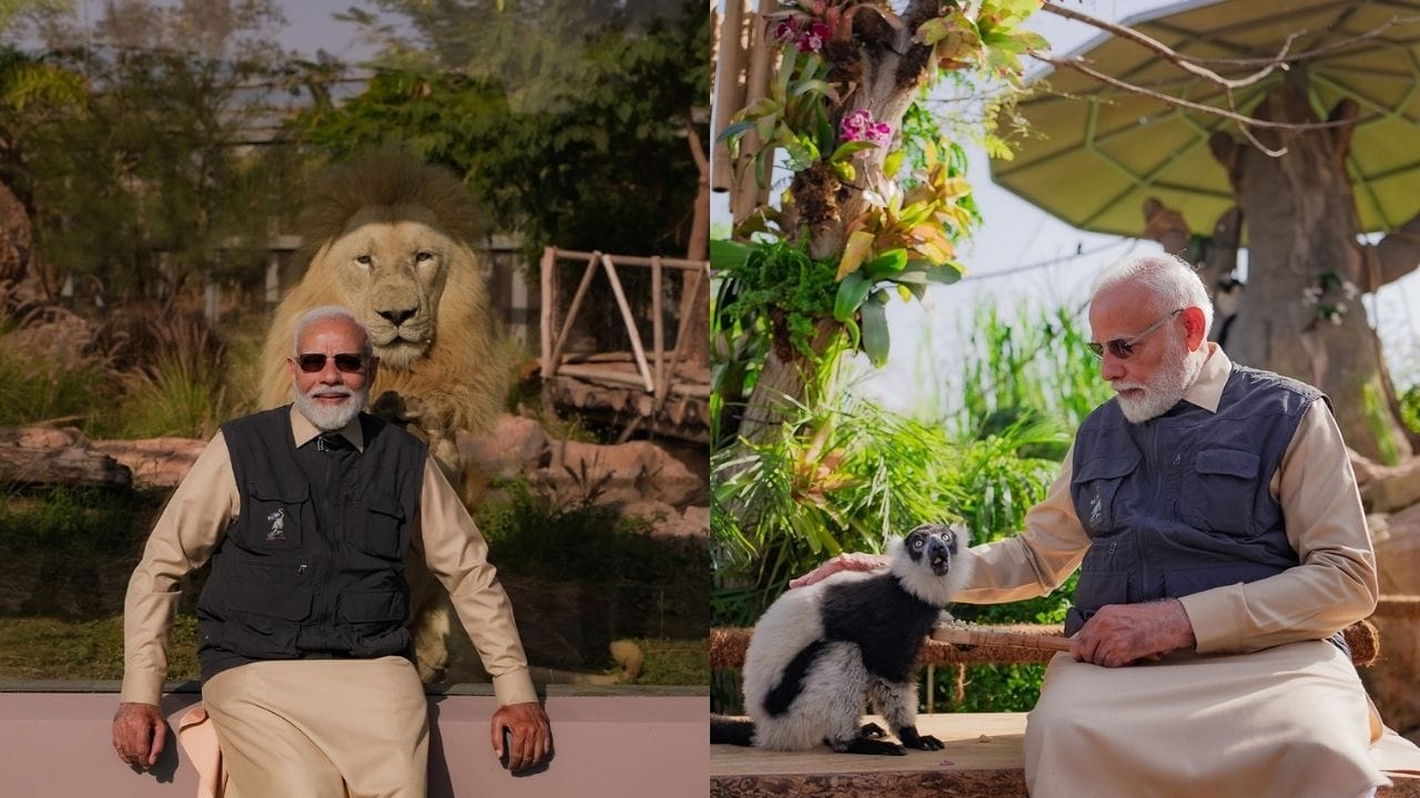 પશ્ચિમ ક્ષેત્ર માટે રાષ્ટ્રીય વન્યજીવન સંદર્ભ કેન્દ્ર તરીકે નિયુક્ત થયેલી Vantara એ “One Health” ઇકોસિસ્ટમને મજબૂત બનાવ્યું છે. તેના વૈજ્ઞાનિક માળખામાં એક મુખ્ય પ્રયોગશાળા અને 11 સહાયક પ્રયોગશાળાઓનો સમાવેશ થાય છે. 70થી વધુ નિષ્ણાતોની ટીમ દરરોજ 2,000થી વધુ ક્લિનિકલ નમૂનાઓનું પરીક્ષણ કરે છે. તેમાં મોલેક્યુલર ડાયગ્નોસ્ટિક્સ, પેથોલોજી, પરોપજીવીશાસ્ત્ર, ટોક્સિકોલોજી અને નેક્સ્ટ-જનરેશન સિક્વન્સિંગ જેવી અદ્યતન ક્ષમતાઓનો સમાવેશ થાય છે.